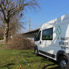 Baumpflege am See TEAM LANGEN Juli 2020 _3_ ARCHIVFOTO.JPG