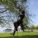 Baumpflege am See TEAM LANGEN April 2020 _6_ ARCHIVFOTO.JPG