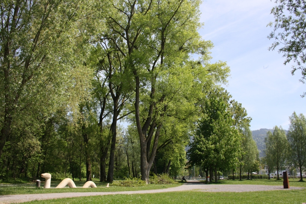 Baumpflege am See TEAM LANGEN April 2020 _3_ ARCHIVFOTO.JPG