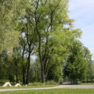 Baumpflege am See TEAM LANGEN April 2020 _3_ ARCHIVFOTO.JPG