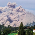AFP_94Q67J_1.jpg