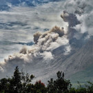 AFP_9468FM.jpg