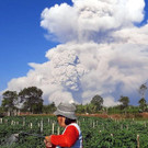 AFP_943649.jpg