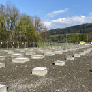 IMG_5020 neu.jpg
