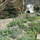 Bildschirmfoto 2021-05-07 um 15_47_15.png