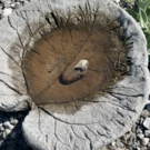 Bildschirmfoto 2021-05-07 um 15_47_41.png