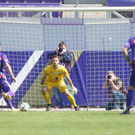 file7fp125qlzdez33216ku.jpg