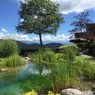 Wassergärten und Schwimmteiche