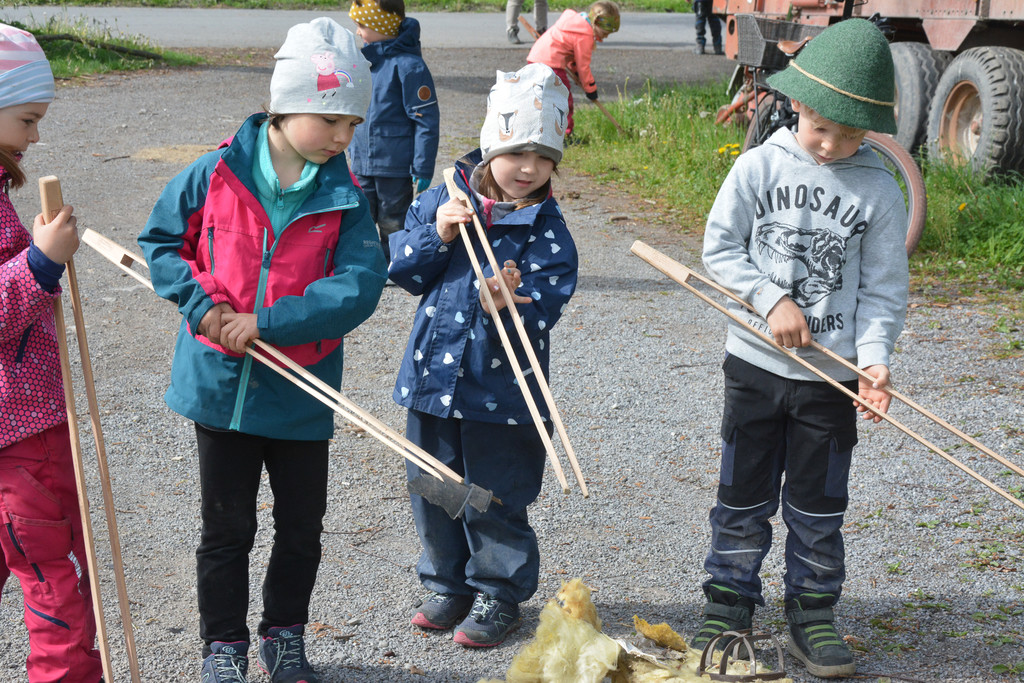 fleissiges Sammeln.jpg