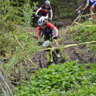 DSC_0061.jpeg