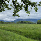 image00012.jpeg