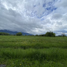 image00014.jpeg