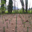 IMG-20210517-WA0001.jpg