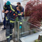 2021-05-20_Bergen eine Kleintieres__C_Stadt Wien-Feuerwehr_03.jpeg