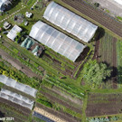 Gemuesegarten_Sonja_2021_041.jpg