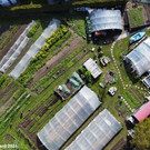Gemuesegarten_Sonja_2021_047.jpg