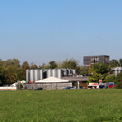 H__rbranz Obsthof GENUSSKISTE AKTUELL Spargel- und Erdbeerzeit 22-05-2021 _14_.JPG