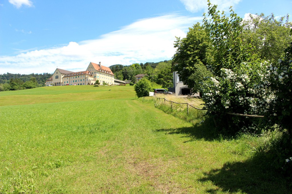 DOKU G Oberlochauerbach Hochwasserschutz ANSICHTEN VERLAUF ALT 08-06-2020 _1_.JPG