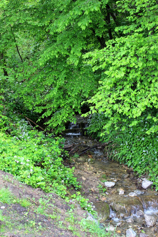 DOKU AAA Oberlochauerbach Hochwasserschutz BF SPEHLER Finish 18-05-2021 _1_.JPG