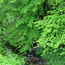 DOKU AAA Oberlochauerbach Hochwasserschutz BF SPEHLER Finish 18-05-2021 _1_.JPG