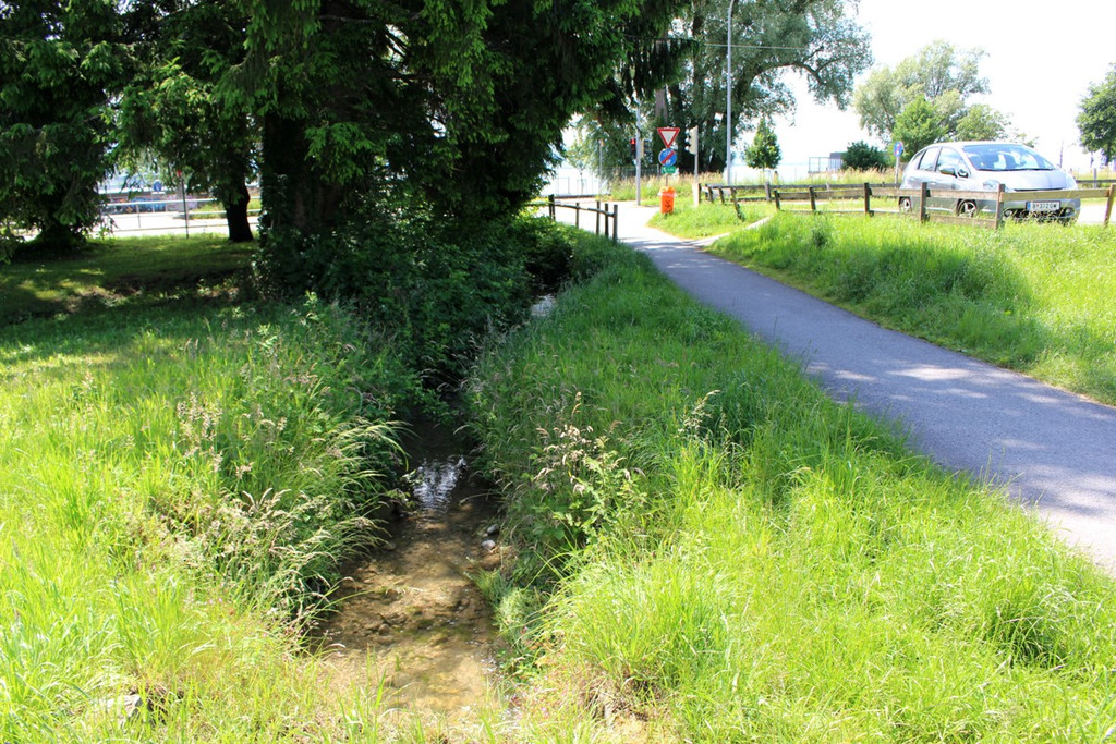 DOKU G Oberlochauerbach Hochwasserschutz ANSICHTEN VERLAUF ALT 08-06-2020 _5_.JPG