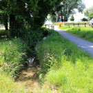 DOKU G Oberlochauerbach Hochwasserschutz ANSICHTEN VERLAUF ALT 08-06-2020 _5_.JPG