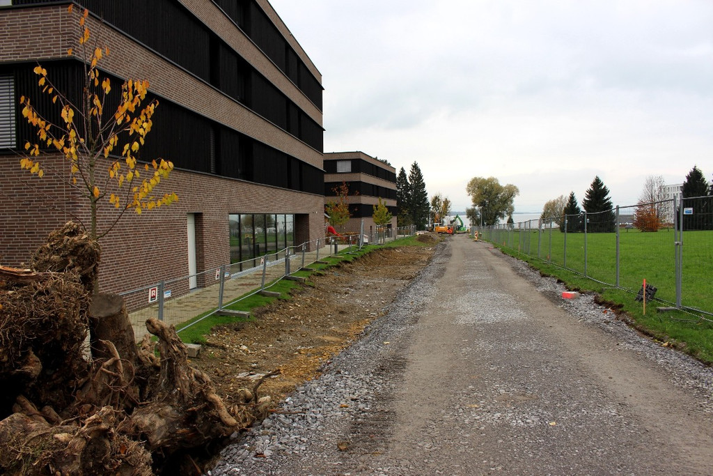 DOKU C Oberlochauerbach Hochwasserschutz BF SEEDOMIZIL Bach-__ffnung 05-11-2020 _7_.JPG