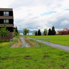 DOKU CCC Oberlochauerbach Hochwasserschutz BF SEEDOMIZIL Bach und Weg Finish 18-05-2021 _1_.JPG