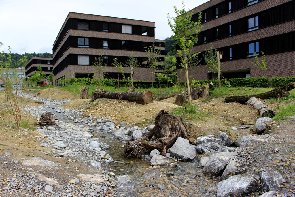 DOKU CCC Oberlochauerbach Hochwasserschutz BF SEEDOMIZIL Bach und Weg Finish 18-05-2021 _7_.JPG