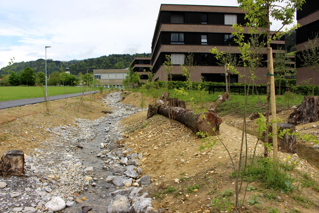 DOKU CCC Oberlochauerbach Hochwasserschutz BF SEEDOMIZIL Bach und Weg Finish 18-05-2021 _9_.JPG