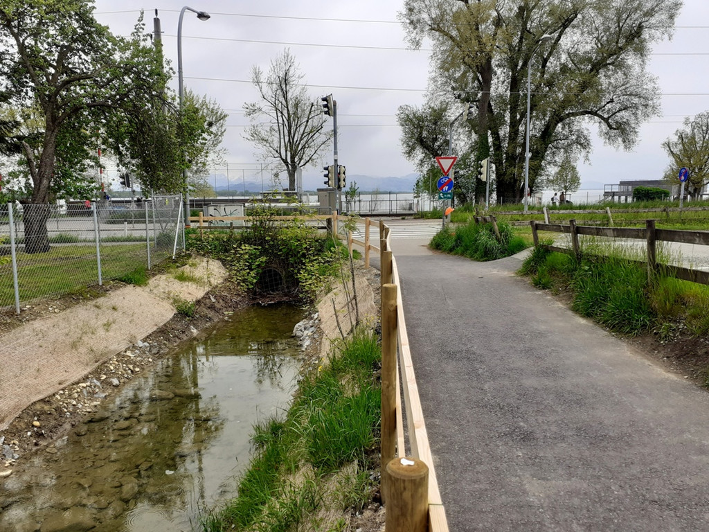 DOKU CCC Oberlochauerbach Hochwasserschutz BF SEEDOMIZIL Bach und Weg Finish 18-05-2021 _12_.jpg
