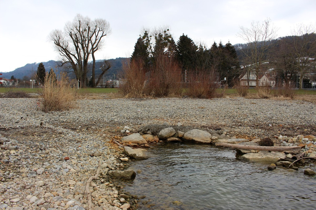 DOKU G Oberlochauerbach Hochwasserschutz ANSICHTEN VERLAUF ALT 08-06-2020 _8_.JPG