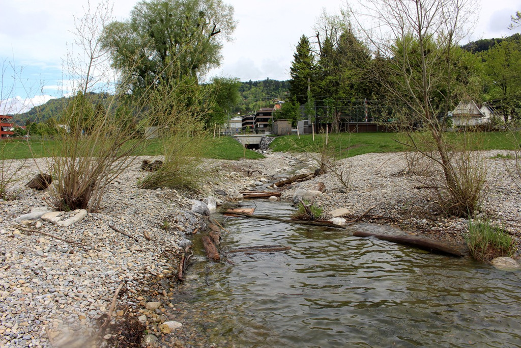 DOKU EEE Oberlochauerbach Hochwasserschutz BF M__NDUNG FINISH 19-03-2021 _5_.JPG