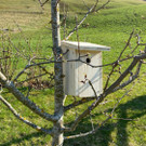 IMG-20210425-WA0004.jpg