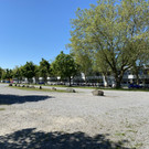 image00001.jpeg