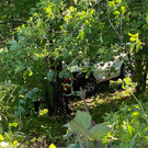 Bild von iOS - 2021-06-01T075227_827.jpg