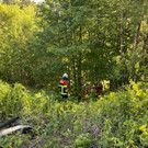 Bild von iOS - 2021-06-01T074806_448.jpg
