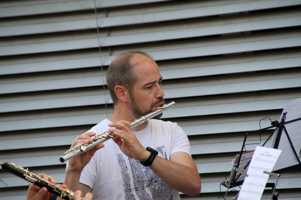 Musik _39_.JPG