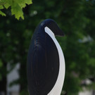 IMG_3861a.jpg