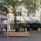 IMG_3907.JPG