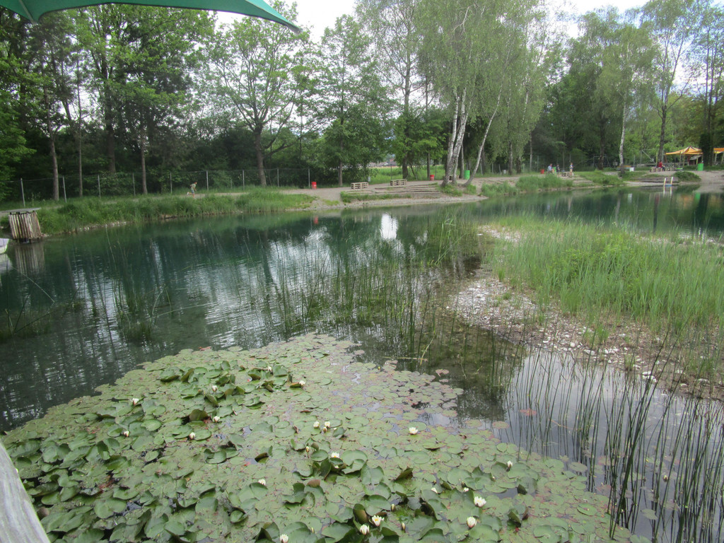 IMG_4268.JPG