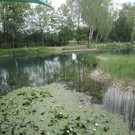 IMG_4268.JPG