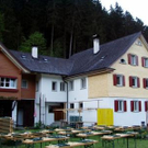 800280.jpg