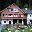 800283.jpg