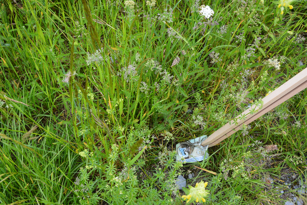 plastik in wiese.jpg