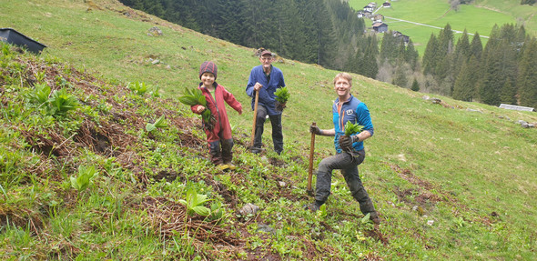 Spora2.jpg