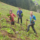 Spora2.jpg