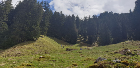 Spora4.jpg