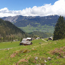 Spora8.jpg
