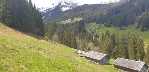 Spora9.jpg